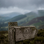 750ml Green Insulated Water Bottle - Fumo Lifestyle